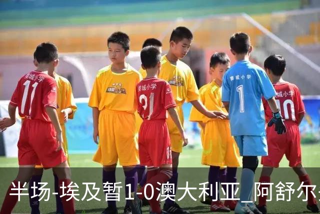 半场-埃及暂1-0澳大利亚 阿舒尔头球破门哈菲兹助攻沃尔帕托中框
