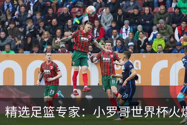 精选足篮专家：小罗哥世界杯火爆9连红长线15中13！
