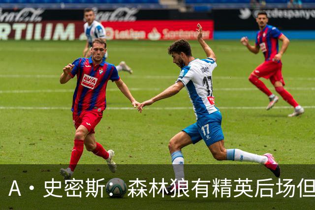 A·史密斯：森林狼有精英后场但体型变小 难应对雷霆马刺火箭掘金